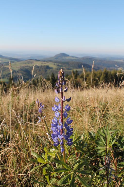 Pension Gasthof Zum Lamm Bischofsheim an der Rhön Exteriör bild